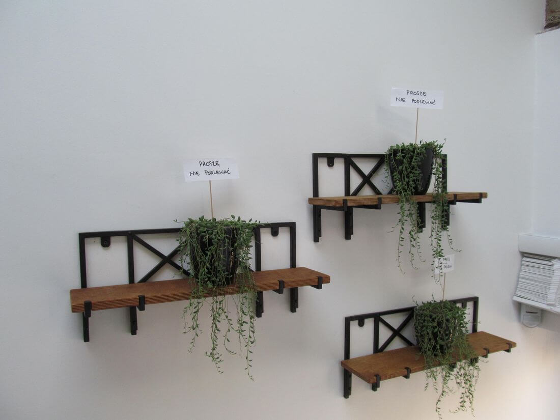 Hanging Metal and Wooden Flowers for Live Plants in the EIP office in Warsaw